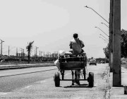 51漫画运营白皮书·舆情风暴风险提示