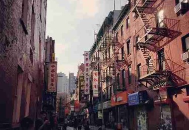 蘑菇视频iOS：智能升级与追剧必备