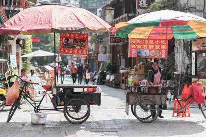 蘑菇视频下载：极速教程与使用心得
